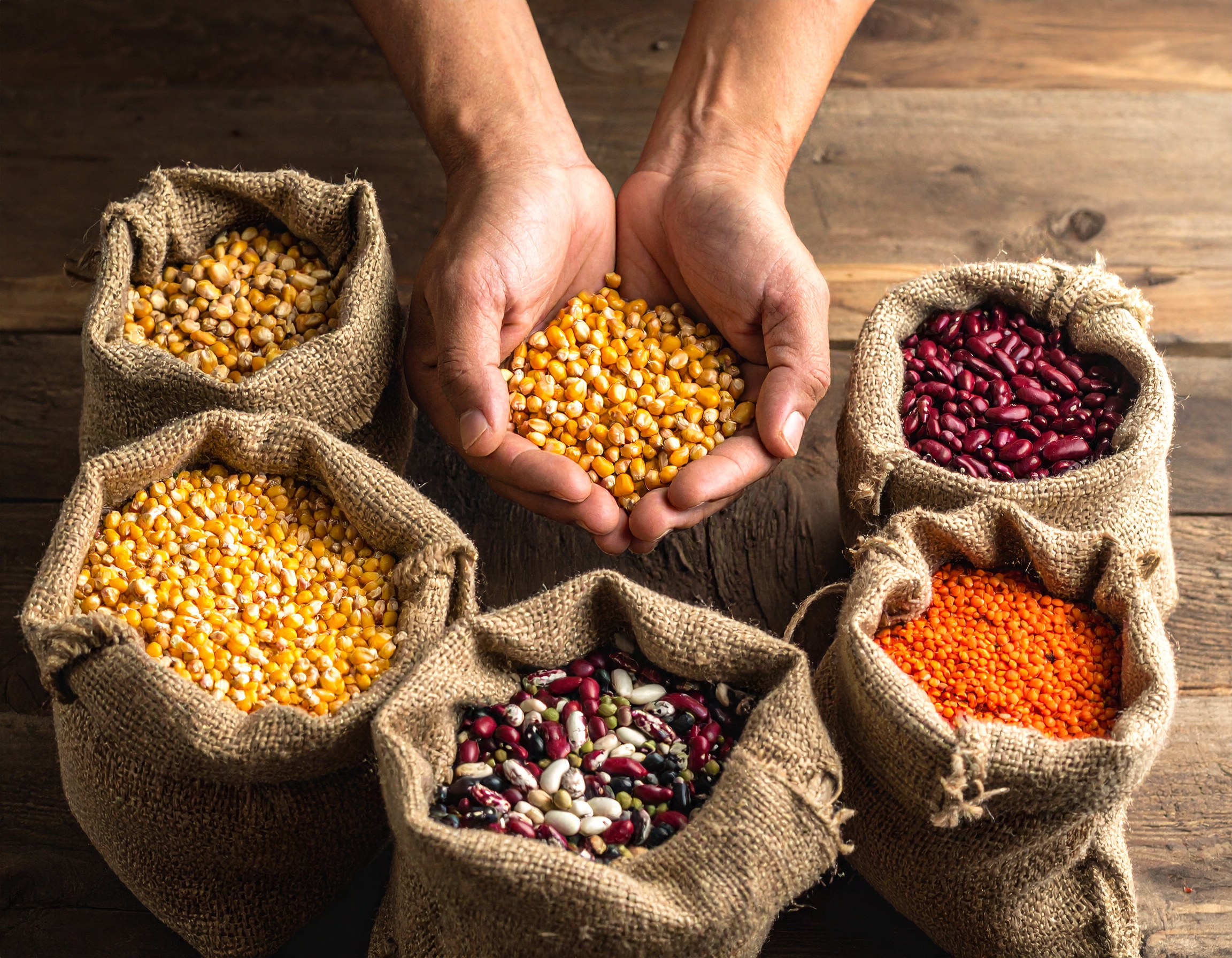 Agribusiness planning